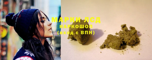 гидропоника Алзамай