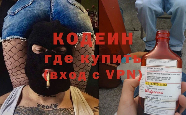 хмурый Алексин