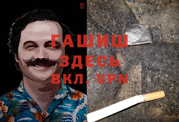 гидропоника Алзамай
