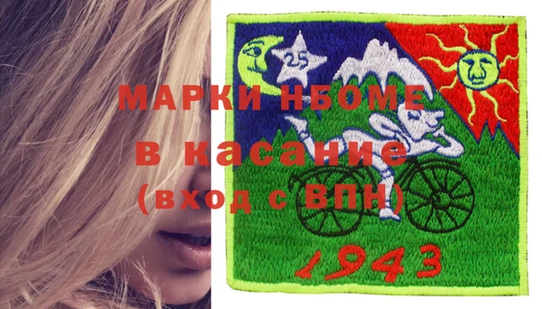 хмурый Алексин