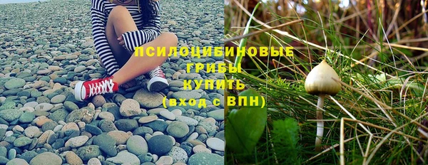 хмурый Алексин
