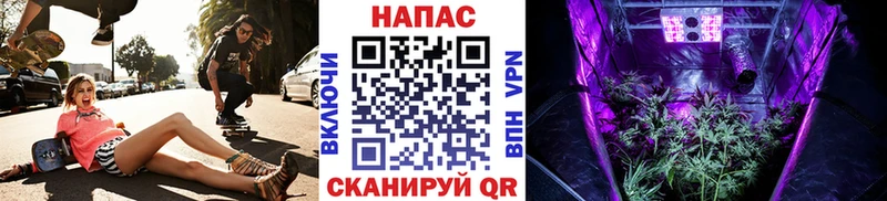 Бошки Шишки сатива  Усолье-Сибирское 